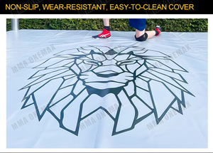 MMA ONEMAX Sparring <strong>WWE</strong> <strong>Wrestling</strong> <strong>Ring</strong> Custom Sturdy Easy to Assemble in Fight Club Fitness Center for Training Competition - Product Image 3