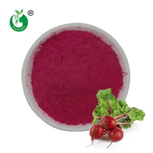 Wholesale Spray Dried Red Pure Powder Beetroot Extract Concentrate Organic Beetroot Juice Powder