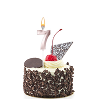 Großhandel Individuelles Logo Schlichte Glückliche 0 1 2 3 4 5 6 7 8 9 Kuchen-Zahlenkerzen Gold Geburtstagskerzen Paraffinwachs Umweltfreundlich