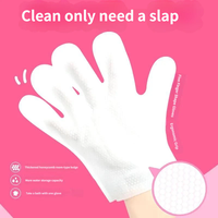 Gants de toilettage jetables OEM ODM pour animaux de compagnie, lingettes désodorisantes pour chiens et chats, soins intérieurs