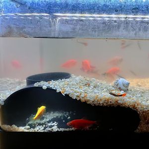Aquarium Tunnel Decorations Single Bore Hole Fish Hiding Shelter Modular Aquascaping Accessory For Fish And Shrimp Habitat - Product Image 3