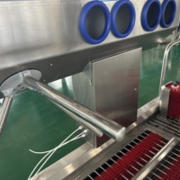 Machine de lavage de chaussures entièrement automatique en acier inoxydable personnalisée pour le nettoyage, la désinfection et l'hygiène des bottes destinée aux abattoirs