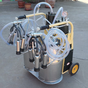 Machine à traire les vaches d'<span class=keywords><strong>occasion</strong></span> en gros pour ferme avec moteur, en acier inoxydable <span class=keywords><strong>de</strong></span> qualité alimentaire, haute efficacité, productivité <span class=keywords><strong>de</strong></span> 20-24 vaches/heure - Product Image 4