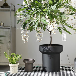 Venta al por mayor, sala de estar, jardín, balcón, planta decorativa, jardineras de cemento mate, maceta de hormigón suculenta - Product Image 2