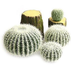 Bonsái de Cactus de Espinas Blancas de Imitación Nórdica, Planta Verde Artificial Grande para Decoración de Paisajes Tropicales y Desérticos - Product Image 5