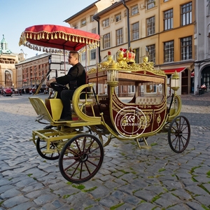Carruaje Eléctrico de Lujo de Cuatro Ruedas para Turismo, Carruaje Real sin Caballos con Aire Acondicionado y Sonido para Bodas, 2025 - Product Image 2