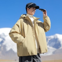 Veste coupe-vent à capuche pour homme, gris clair, surdimensionnée, chaude pour l'hiver, décontractée, streetwear, vêtements d'extérieur