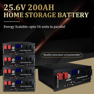 Batterie LiFePO4 Wiren W24200 25,6V 200Ah à montage en rack 5,12KWh RS485 CAN LCD pour système de stockage d'énergie solaire - Product Image 3