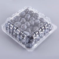 Contenitore in Plastica PET da 125g per Frutta, Design a Conchiglia, Scatola Trasparente Monouso per Confezionamento Mirtilli