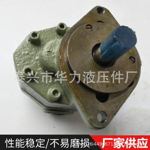 Pompe à huile à engrenages à simple étage en fonte haute pression CB-FC25-FL avec fonction anti-obstruction Montage latéral - Product Image 2