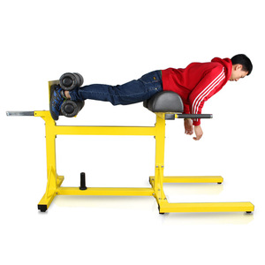 Bft tập thể dục thiết bị phòng tập thể dục có thể điều chỉnh gân kheo trở lại băng ghế dự bị ngang Roman ghế máy - Product Image 5