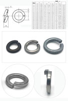 M2 M3 M4 M6 M8 M10 M12 Fastener Corrosion-Resistant Plain Washers 304/316 Stainless Steel Flat Washers and Spring Washer