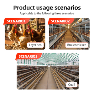 Bebedero Automático <span class=keywords><strong>de</strong></span> Alta Calidad con Rotación <span class=keywords><strong>de</strong></span> 360 Grados para Pollos, Loros y Aves <span class=keywords><strong>de</strong></span> Corral - Product Image 6