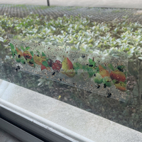 Piège à mouches Non toxique OEM & ODM pour la maison, autocollant attrape-mouches à fruits d'intérieur, piège à mouches à fruits domestique sûr
