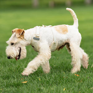 OEM مخصص مجموعة تسخير الحيوانات الأليفة سترة المقود التكتيكية تنفس للقطط الجراء الجلود بسيطة شخصية جرو الكلب تسخير - Product Image 5