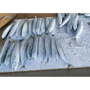 جولة كاملة أو HG طازجة ومباشرة من مصنع الصين بمصدر سائب - Product Image 5