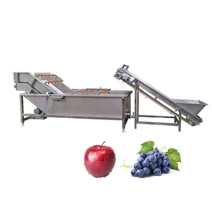 Industriële Luchtbel Reiniger/Hogedrukspray Guave Carambola Fruitwasmachine/Groentefruitreinigingswasmachine