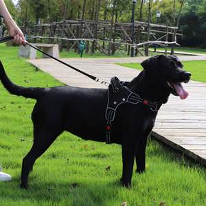 Rompi <span class=keywords><strong>Harness</strong></span> kucing model baru, rompi jaring bersirkulasi, jaring, warna berbeda, harga pabrik, tali <span class=keywords><strong>Harness</strong></span> kucing - Product Image 4