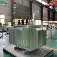 Transformateur de puissance triphasé immergé dans l'huile de 315 kVA