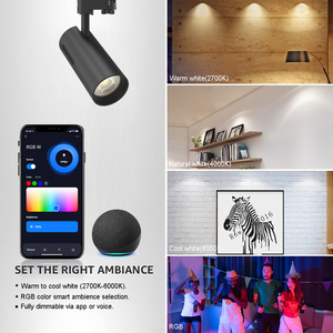 Foco LED Inteligente para Riel, RGB, RGBW, Dali, Iluminación Moderna de 15W y 30W, de OBALS LED Light Factory - Product Image 6
