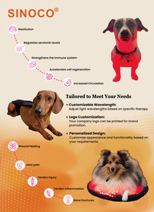 معطف علاج بالضوء الأحمر للقطط والكلب بطول موجي 850 نانومتر تحت الحمراء لتخفيف آلام الحيوانات الأليفة ، ملابس استرداد قابلة للتعديل لصحة العضلات - Product Image 2