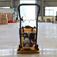 Compacteur à plaque vibrante réversible certifié CE 175 kg, fourni par l'usine pour les travaux de compactage des sols et des fondations routières