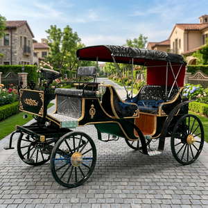Nouvelles Voitures de Mariage Victoria Électriques de Luxe pour Touristes, Type Calèche, à Vendre - Product Image 1