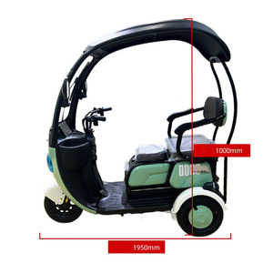 Tricycle électrique vert pour passagers avec toit en verre et siège individuel - Product Image 6