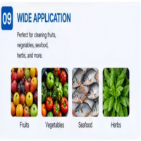 Machine de nettoyage à bulles continu pour abricots, piments secs, poivrons, noix de coco, viande, bananes - Bon prix