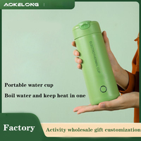 Bouilloire électrique 300ml Bouteille chauffante électrique portable Bouilloire automatique en acier inoxydable 304 Pot thermique Tasse à eau bouillante