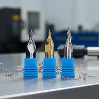 Fraise à bout lumineux Jinchuan Mini, D6mm D12mm, à deux cannelures, spirale, pour CNC, outils de traitement de texte, avec support OEM