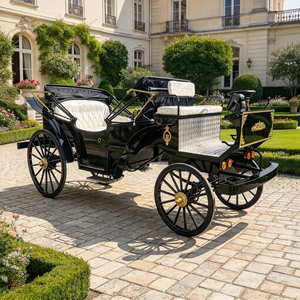 Charrette et calèche électriques BENDOU pour les excursions royales en plein air - Product Image 2