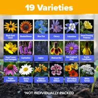 Pack de fleurs sauvages vivaces en vrac de 19 variétés attrayant pour les oiseaux abeilles papillons pour la plantation de fleurs au sol