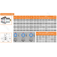 BEXKOM G8-3/DBPU Connecteur femelle Push-Pull en laiton plaqué or, tailles 0F2 à 9, blindage CEM, IP68, anti-vibration, anti-corrosion, en métal