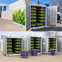 Conteneur d'expédition hydroponique intelligent pour la ferme Conteneurs agricoles à tour verticale Systèmes de culture hydroponique pour légumes