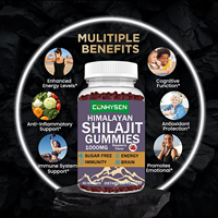 Gummies de Shilajit à Marque Blanche OEM en Promotion pour le Soutien Énergétique et l'Équilibre de l'Humeur avec Notre Mélange Apaisant contre le Stress