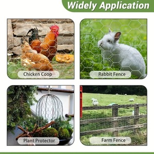 Galvanized Hexagonal <strong>Wire</strong> Mesh Poultry <strong>Netting</strong> Chicken <strong>Wire</strong> for Farm Bird and Rabbit Enclosure Fence - Product Image 5