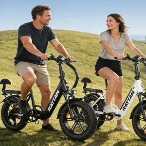 <span class=keywords><strong>Bicicleta</strong></span> Eléctrica Urbana de Ocio <span class=keywords><strong>RATTAN</strong></span> LF Pro con Envío en la UE, Motor sin Escobillas de 750W, 46km/h, 120km, 18AH, Frenos Hidráulicos - Product Image 2