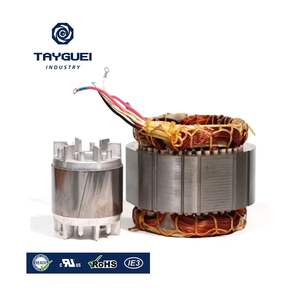 Estator y Rotor de Motor de Inducción Trifásico Laminado - Product Image 1