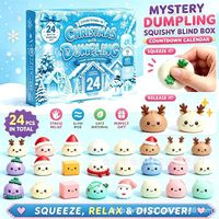 Calendrier de l'Avent de Noël : Lot de 24 jouets anti-stress souples et mignons en forme de dumpling, boîte surprise de fêtes