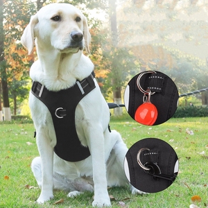 Grosir anjing Neoprene reflektif antipecah tali kekang anjing besar untuk berjalan dengan fitur pukulan tahan ledakan - Product Image 2