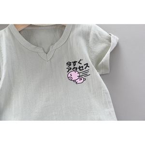 Dachang fournit des vêtements pour enfants de 0 à 5 ans, vêtements pour garçons, t-shirt en coton, shorts, ensemble deux pièces - Product Image 5