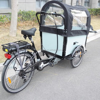 Offre Spéciale électrique Cargo Trike adulte trois roues remorque 250W puissance avec cadre en aluminium E-Bike Cargo Cycle