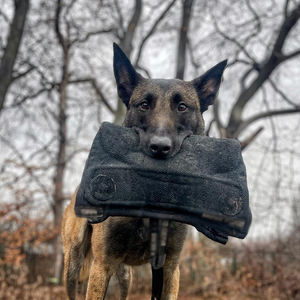 Almohada de Entrenamiento para Perros Ecológica con Asas Resistentes y Correa de Agarre Resistente Forrada con Material de Nailon Suave - Product Image 6