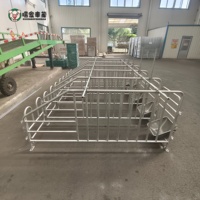 Enclos de gestation pour truies en acier galvanisé, fabrication directe, équipement d'élevage porcin, vente en gros, sur mesure