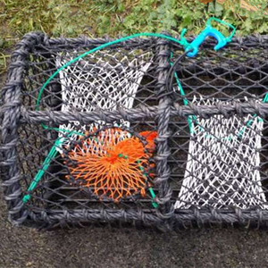Chuyên Nghiệp Heavy Duty Tôm Hùm Nồi Lồng Thị Trường Châu Âu Side-Entry Creel Với Đa-Mục Đích Net Cho Cá Cua Tôm - Product Image 4