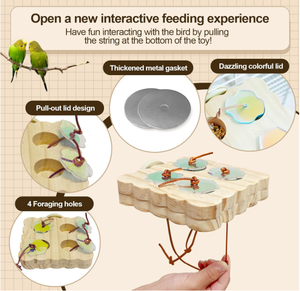 Jouets de recherche de nourriture pour oiseaux en bois FSC & BSCI, puzzle interactif pour <span class=keywords><strong>cage</strong></span>, jouets d'enrichissement d'oiseaux - Product Image 2