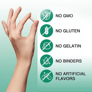 Complément alimentaire en poudre de TUDCA 1100 mg avancé, OEM ODM, marque privée, pour la beauté, soutient la santé du foie et de l'intestin - Product Image 3