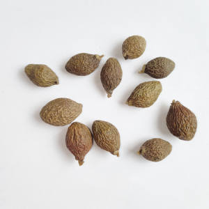 Vente en gros de noix de Pang Da Hai <span class=keywords><strong>Malva</strong></span> séchées de haute qualité herbes chinoises Sterculia Lychnophora spécialité de thé sain - Product Image 5