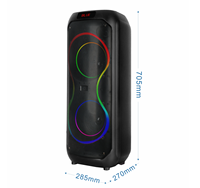 Haut-parleur portable de karaoké pour fêtes en extérieur, personnalisé, super basses fréquences, double 40W, étanche IPX4, LED RGB, micro intégré, FM, 8 pouces